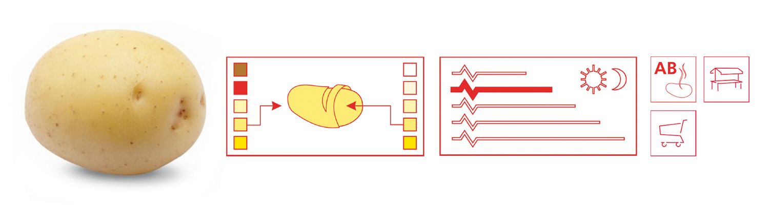 img-responsive